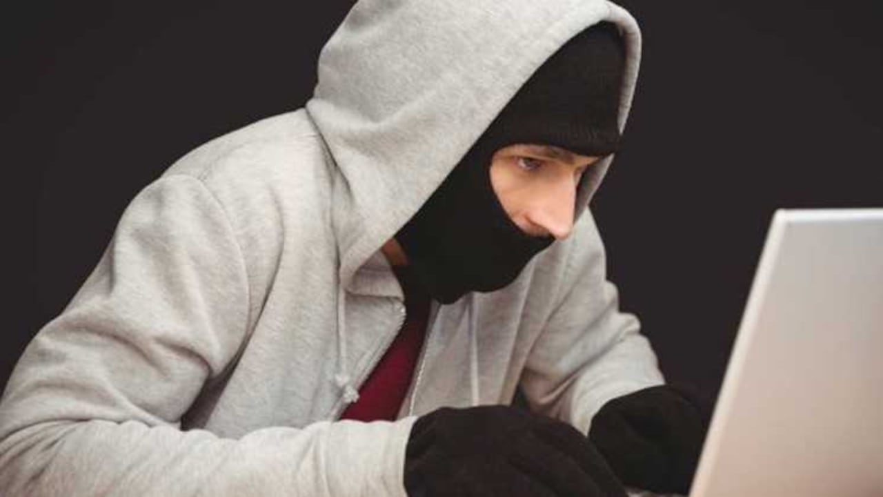 Por un perfil de jugadores en línea pueden pagar hasta 150 dólares.