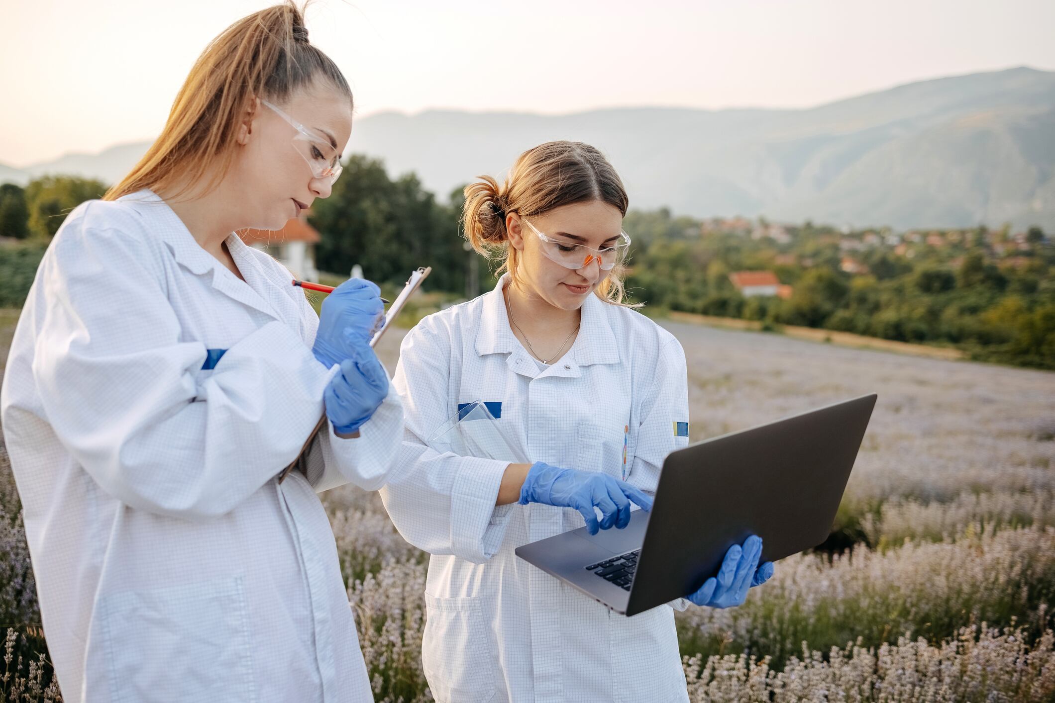 Una rara especie de rana redescubierta en Chile después de 130 años.