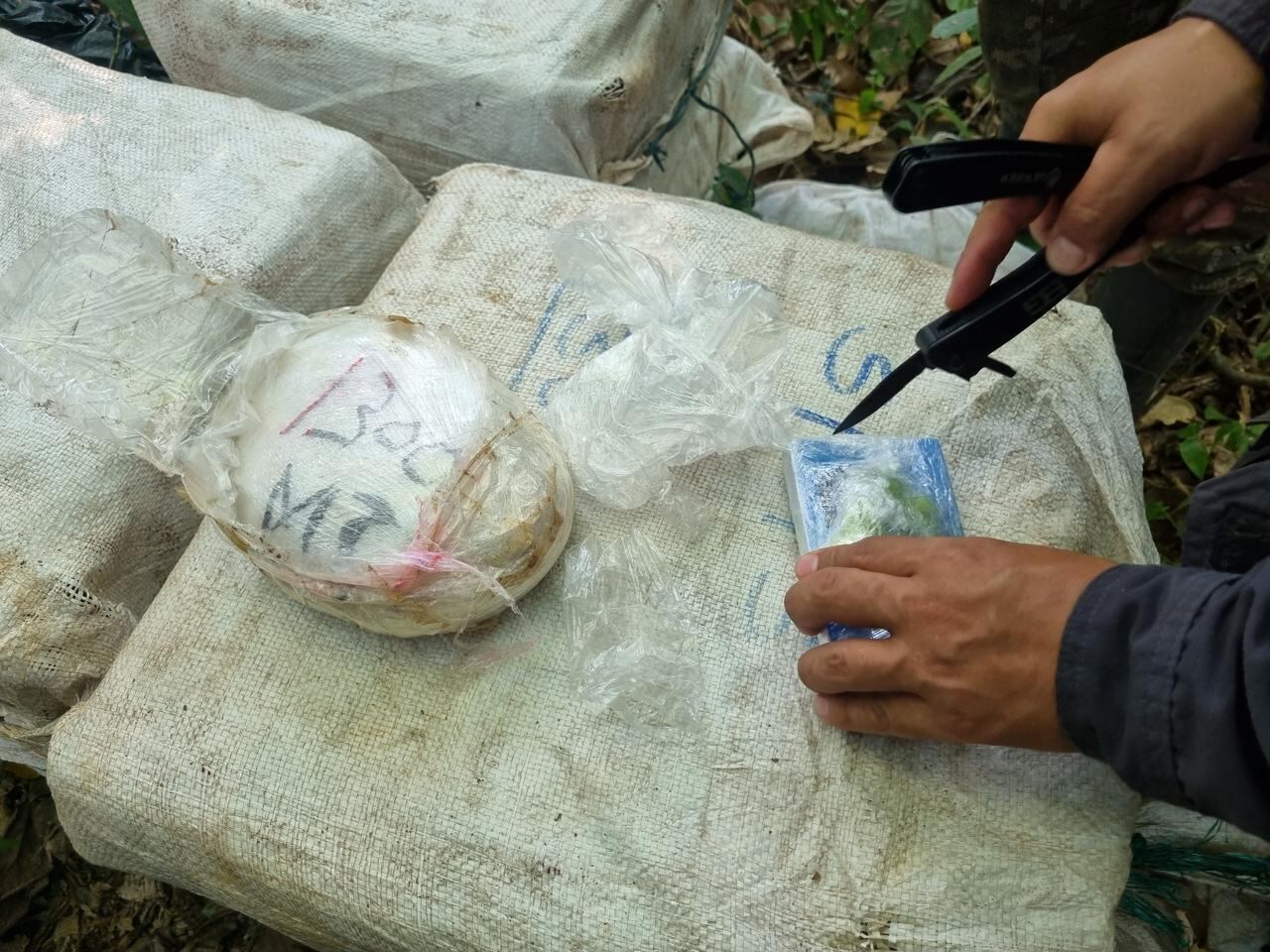 Droga decomisada por las autoridades.