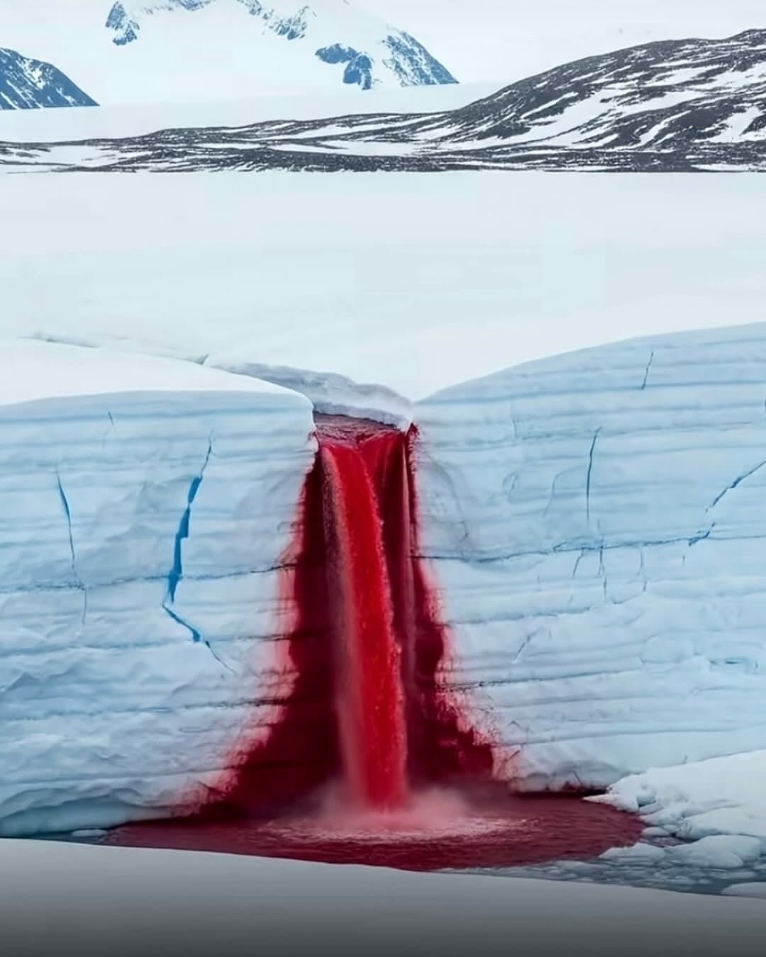 Durante mucho tiempo se creyó que el color estaba ligado a formas de vida extremas.