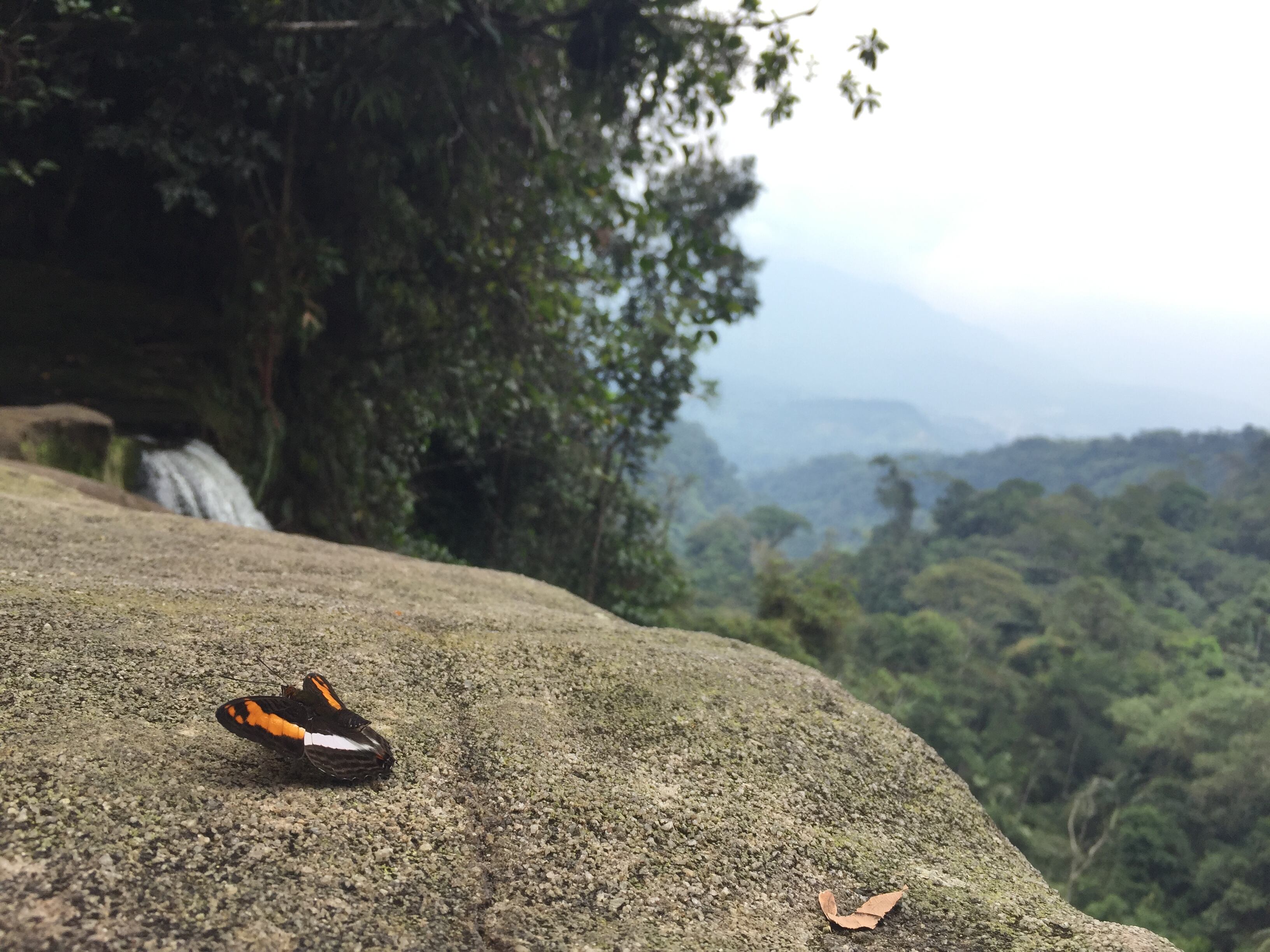 Torrentismo en la Cascada Fin del Mundo: ¿dónde queda y cómo llegar desde Bogotá?