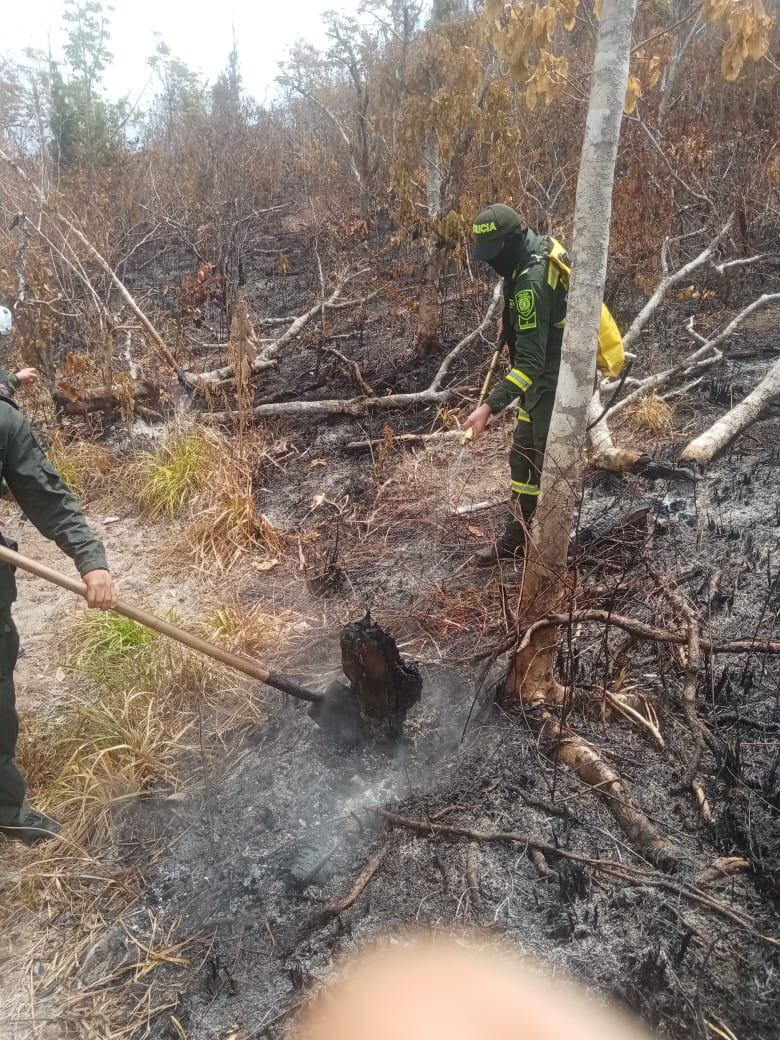Organismos de socorro pudieron llegar a zonas de difícil acceso