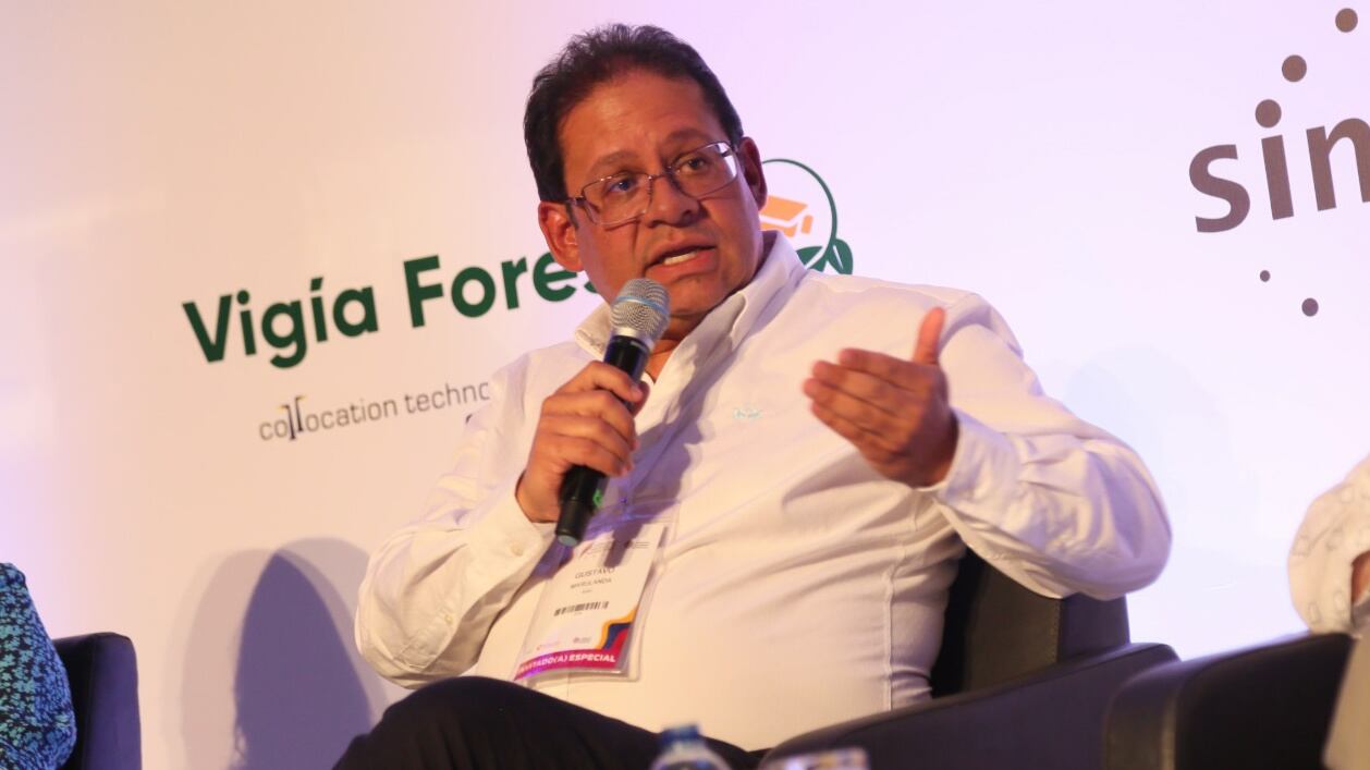 Gustavo Marulanda, director del IGAC.