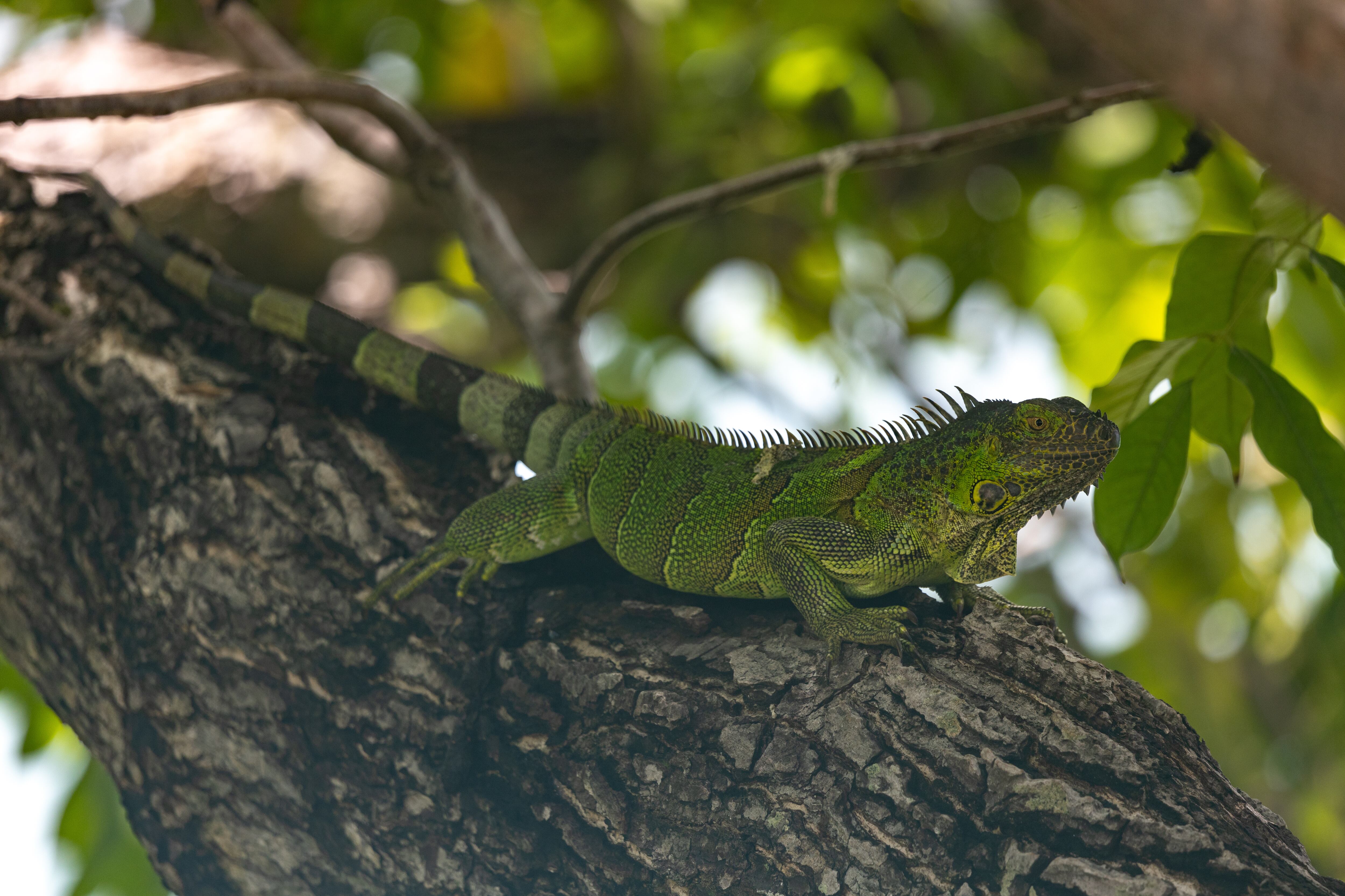 La naturaleza es uno de los principales atractivos turísticos.