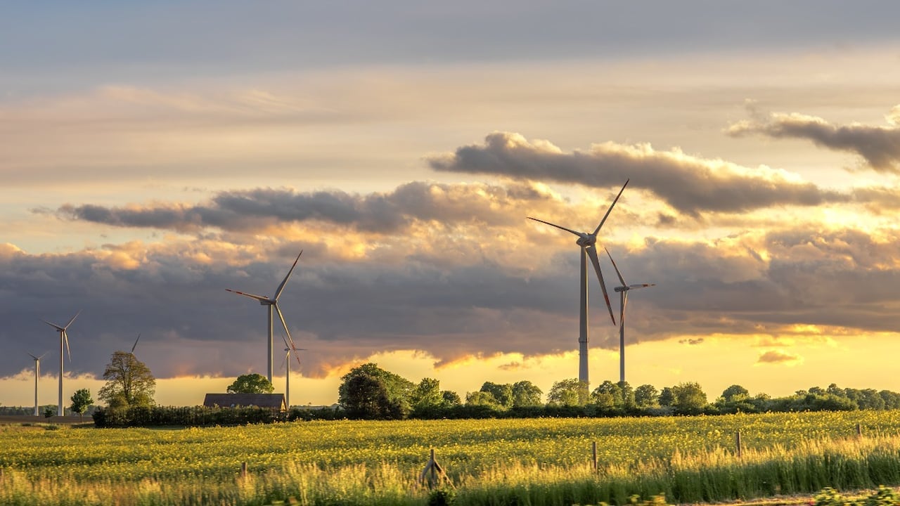 La iniciativa de Schneider Electric que busca impulsar soluciones innovadoras frente a desafíos energéticos de comunidades de todo el mundo.