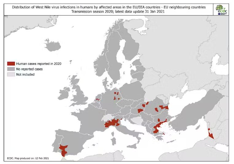 Situación de la fiebre/encefalitis por virus del Nilo Occidental en Europa en 2020. ECDC-EU, CC BY
