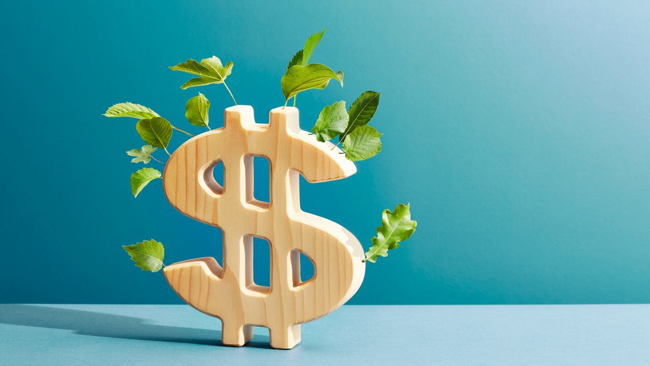 Las plantas y los rituales traen dinero.