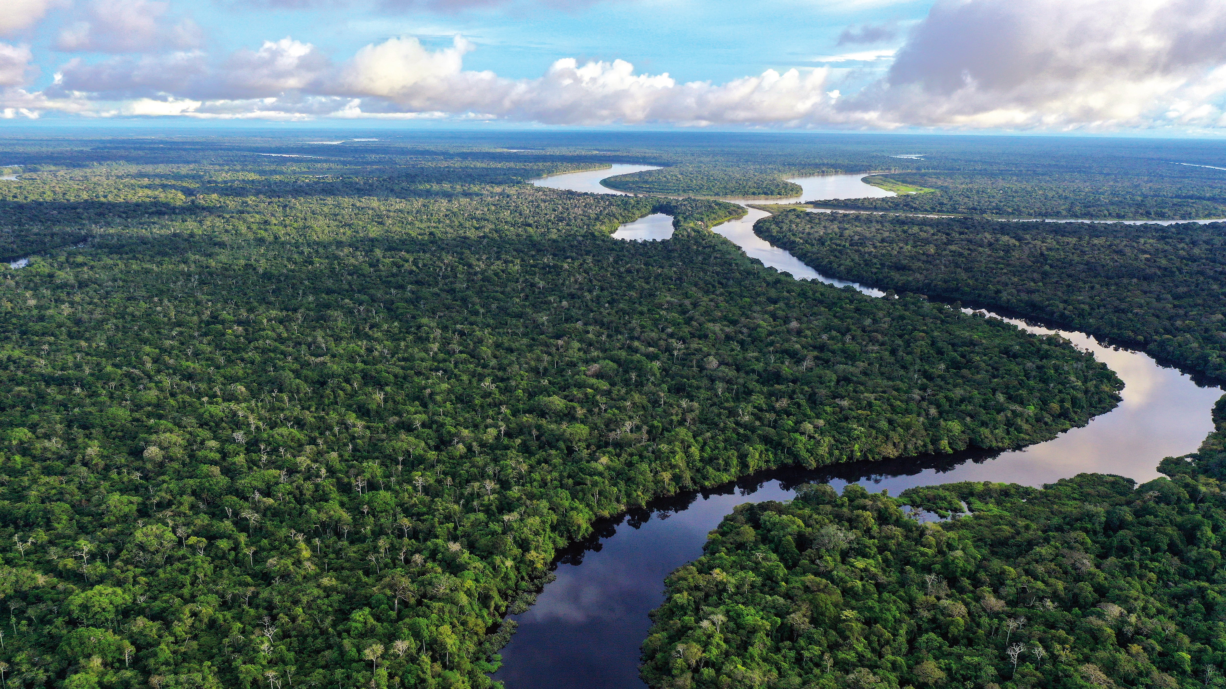 Más allá de la sostenibilidad: la economía climática como estrategia para el desarrollo de Colombia