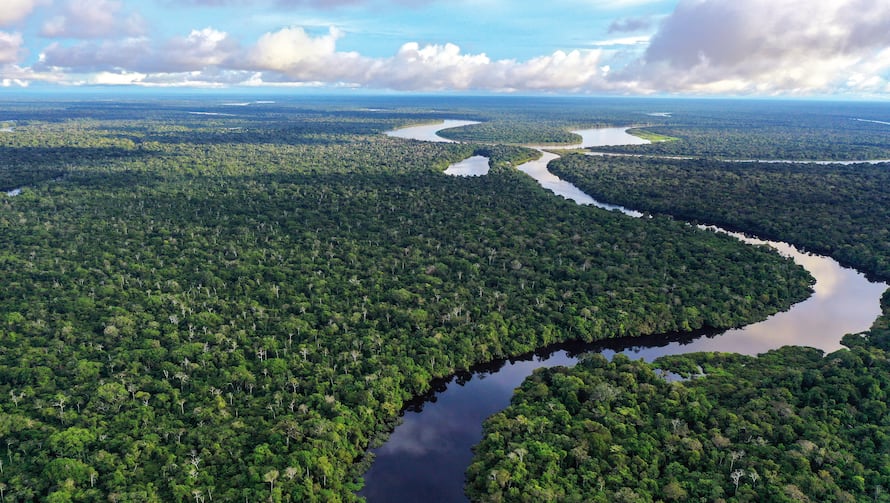 Más allá de la sostenibilidad: la economía climática como estrategia para el desarrollo de Colombia