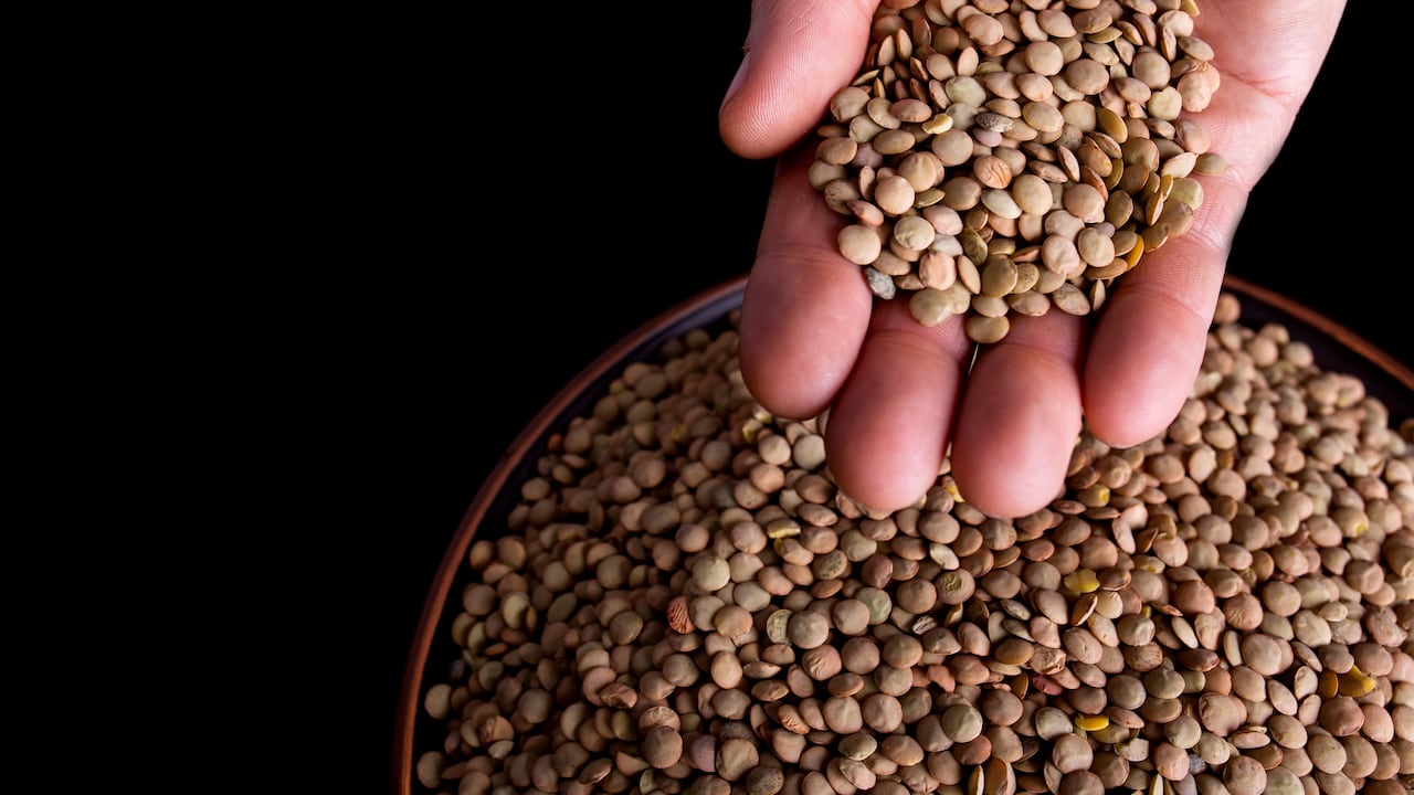 Expertos recomiendan comer lentejas tres veces a la semana.