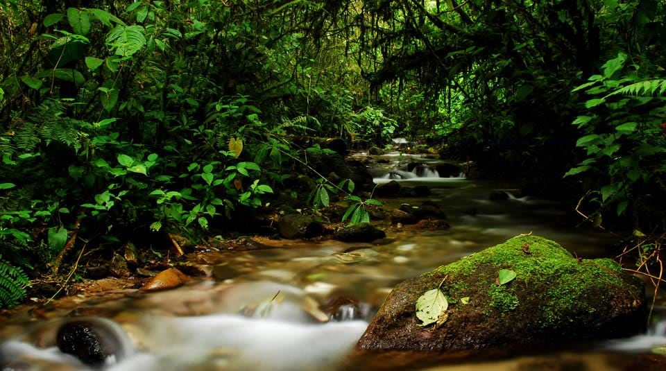 Abriaquí en Antioquia