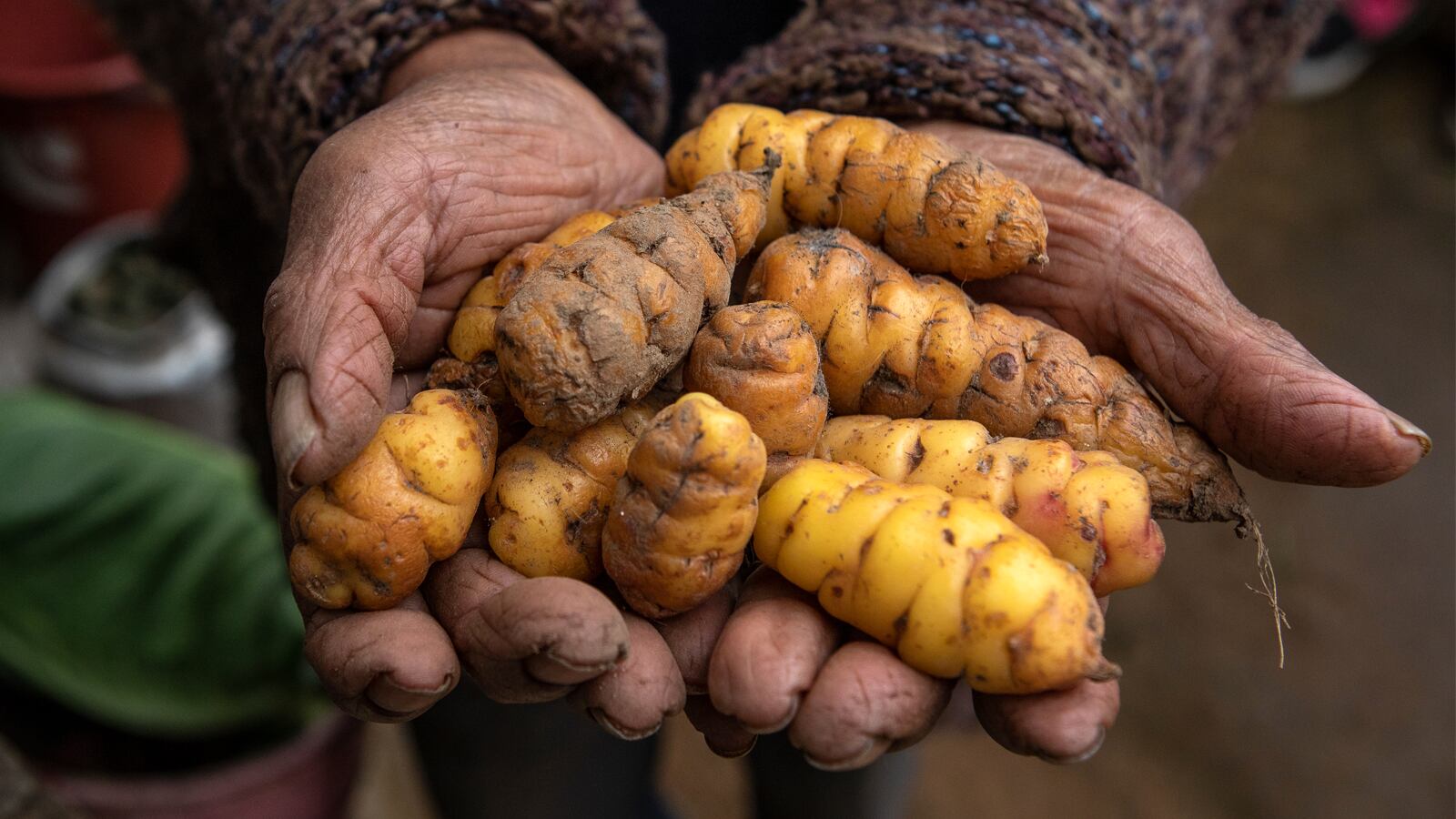 Solo el 23 por ciento de los colombianos vive en el campo. Se creía que la cifra rondaba el 30 por ciento.