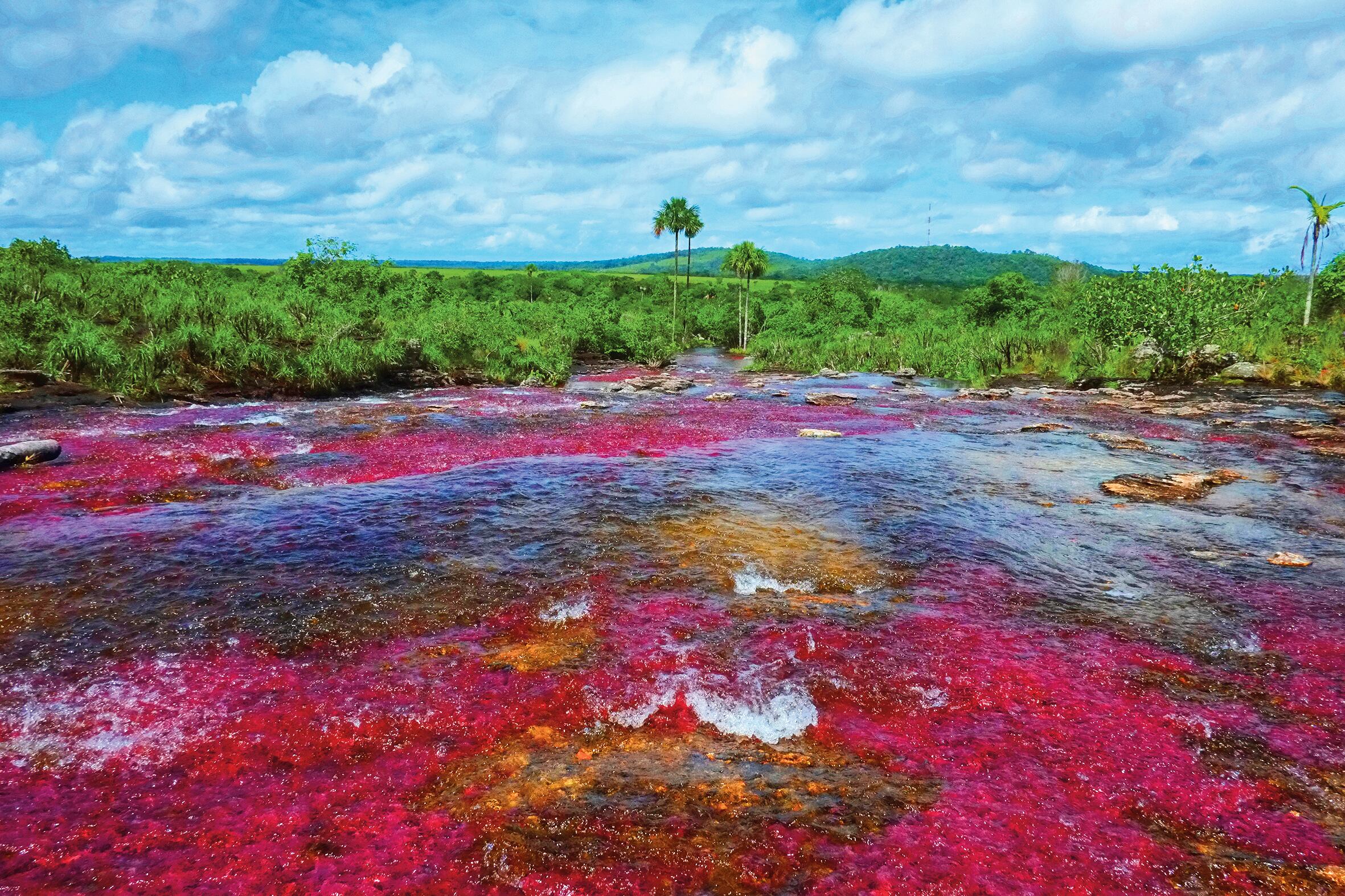 Caño Cristales, el famoso río de los siete colores ubicado en el Meta, encabeza la lista de los cinco destinos recomendados por Fili.
