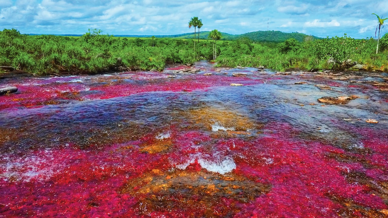 Caño Cristales, un destino imperdible en Colombia.