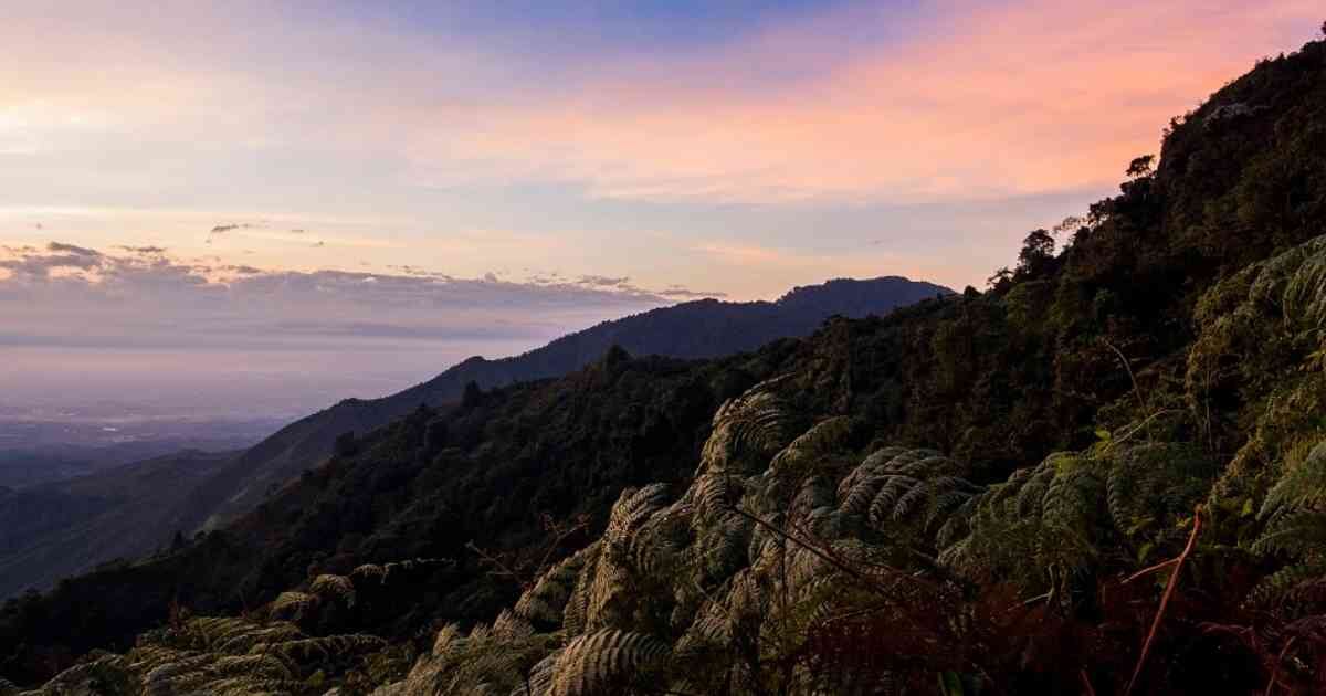 Parque Nacional Natural Farallones de Cali.