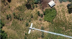 La fumigación se realizó por parte de la policía antinarcóticos en abril de 1999 en dos predios o fincas en una zona rural de Belén de los Andaquíes, Caqueta.