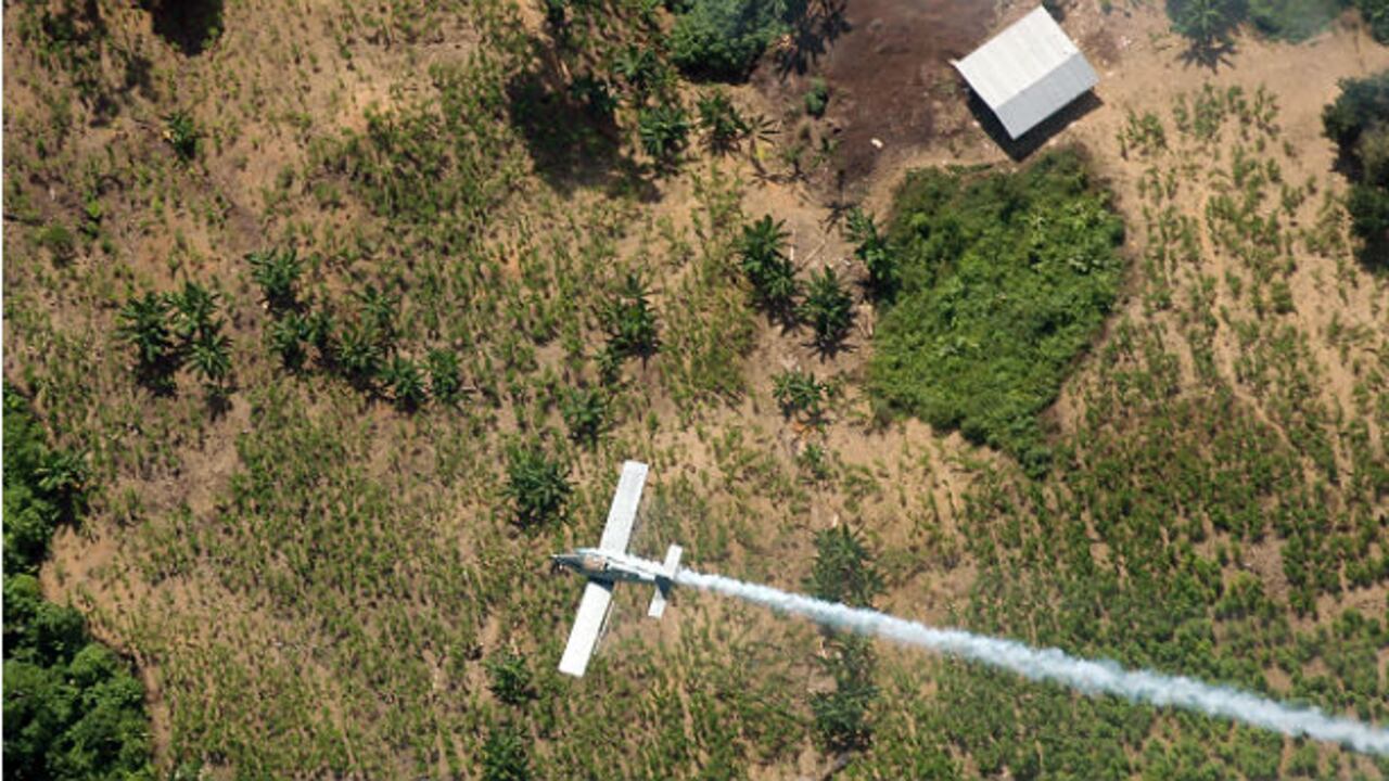 La fumigación se realizó por parte de la policía antinarcóticos en abril de 1999 en dos predios o fincas en una zona rural de Belén de los Andaquíes, Caqueta.