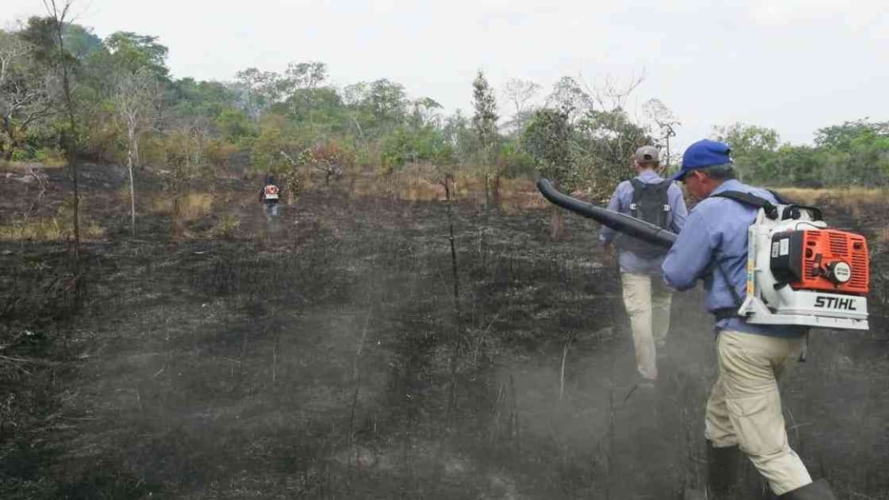 Con batefuegos y aspersores manuales los guardaparques ayudaron a mitigar el fuego en el parque El Tuparro. Foto: Parques Nacionales Naturales.
