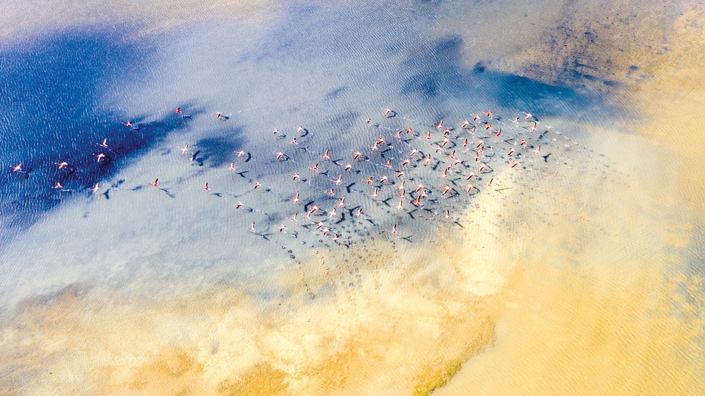 La Guajira es uno de los sitios de todo el planeta, que más sorprenden a este fotógrafo.