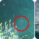 Lo que ocurrió tras una fuga de metano en el mar dejó sorprendidos a los investigadores