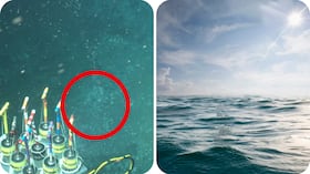 Lo que ocurrió tras una fuga de metano en el mar dejó sorprendidos a los investigadores