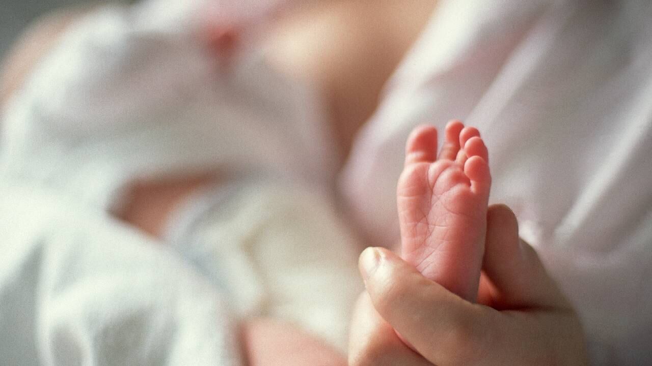 Imagen de referencia, no corresponde con el caso en cuestión.