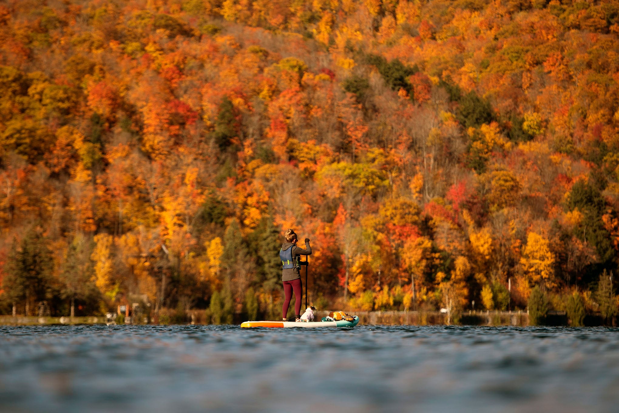 Los colores del otoño.