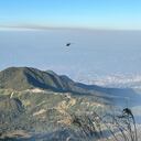 Incendios forestales en Colombia.