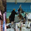 El concurso ha llamado la atención de cientos de usuarios en las redes sociales