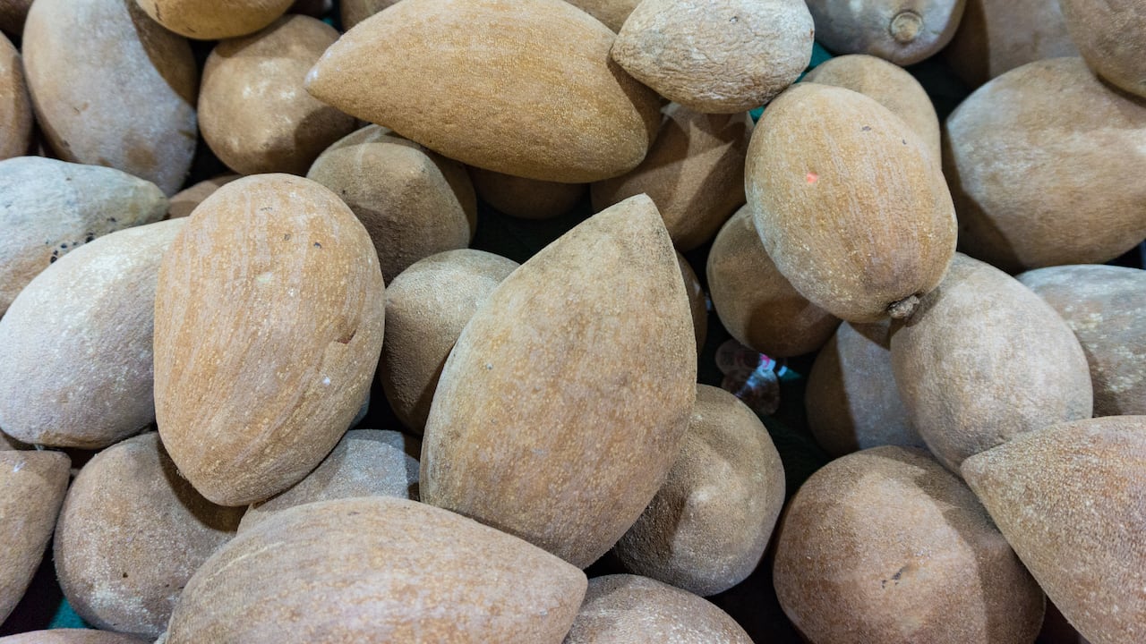 La parte interior del zapote conserva un sabor dulce y por lo general, en su interior puede tener entre cuatro a seis semillas,