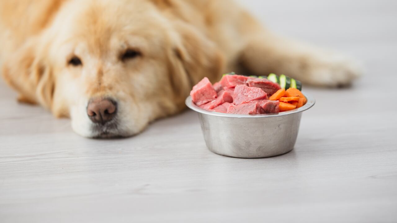 No todas las frutas son saludables para los perros.