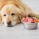 No todas las frutas son saludables para los perros.