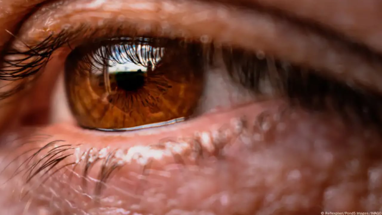 El hallazgo de un color desconocido hasta hoy plantea nuevas preguntas sobre los límites de la percepción visual humana.