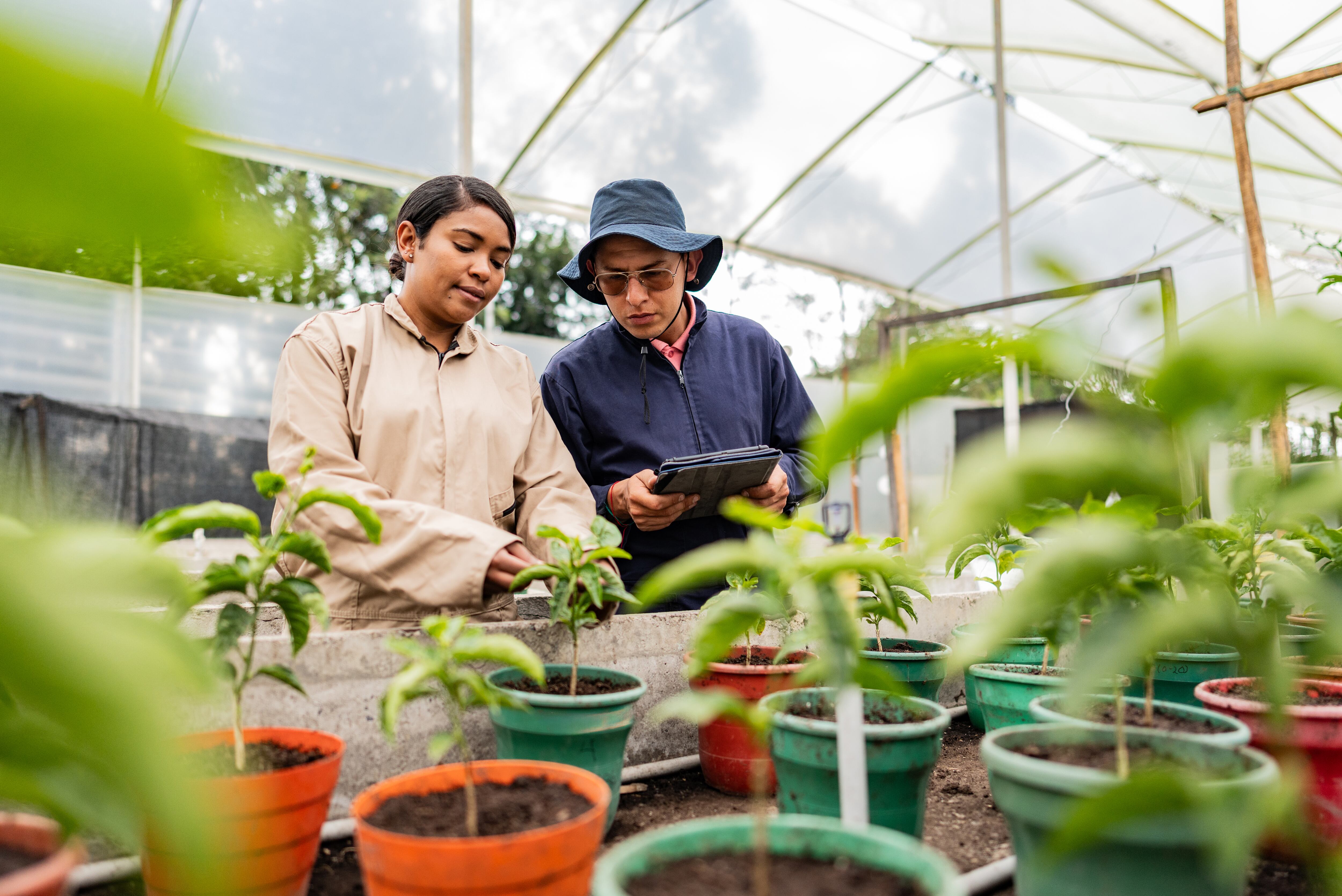 Gran Foro Rural 2026