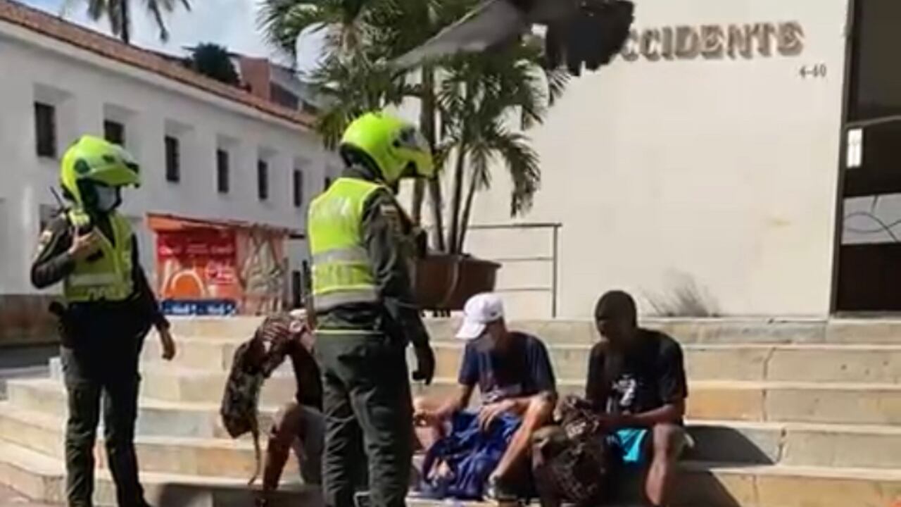Video| Migrantes venezolanos fueron grabados "cazando" palomas para comer en plaza de Cali