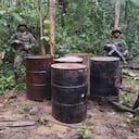 Fuerzas militares desmantelan 11 infraestructuras para el procesamiento de estupefacientes en el Putumayo