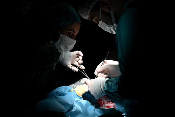 Mientras el responsable de este hecho de intolerancia abandonó el Central Park en compañía de sus tres mascotas, la pareja cogió a sus perros y de inmediato se dirigieron a una veterinaria. (Photo by Mustafa Ciftci/Anadolu Agency via Getty Images)