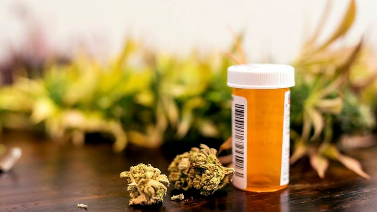 ¿Se gana la guerra contra las drogas en el país legalizando todas las sustancias psicoactivas?