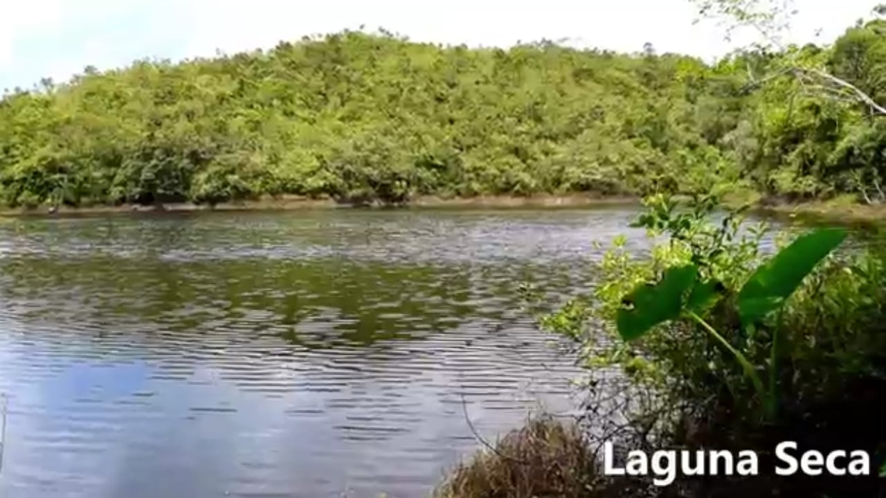 Laguna Seca, San eduardo.