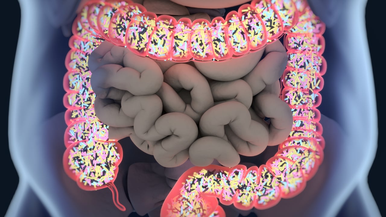 Los probióticos son alimentos para la flora intestinal.