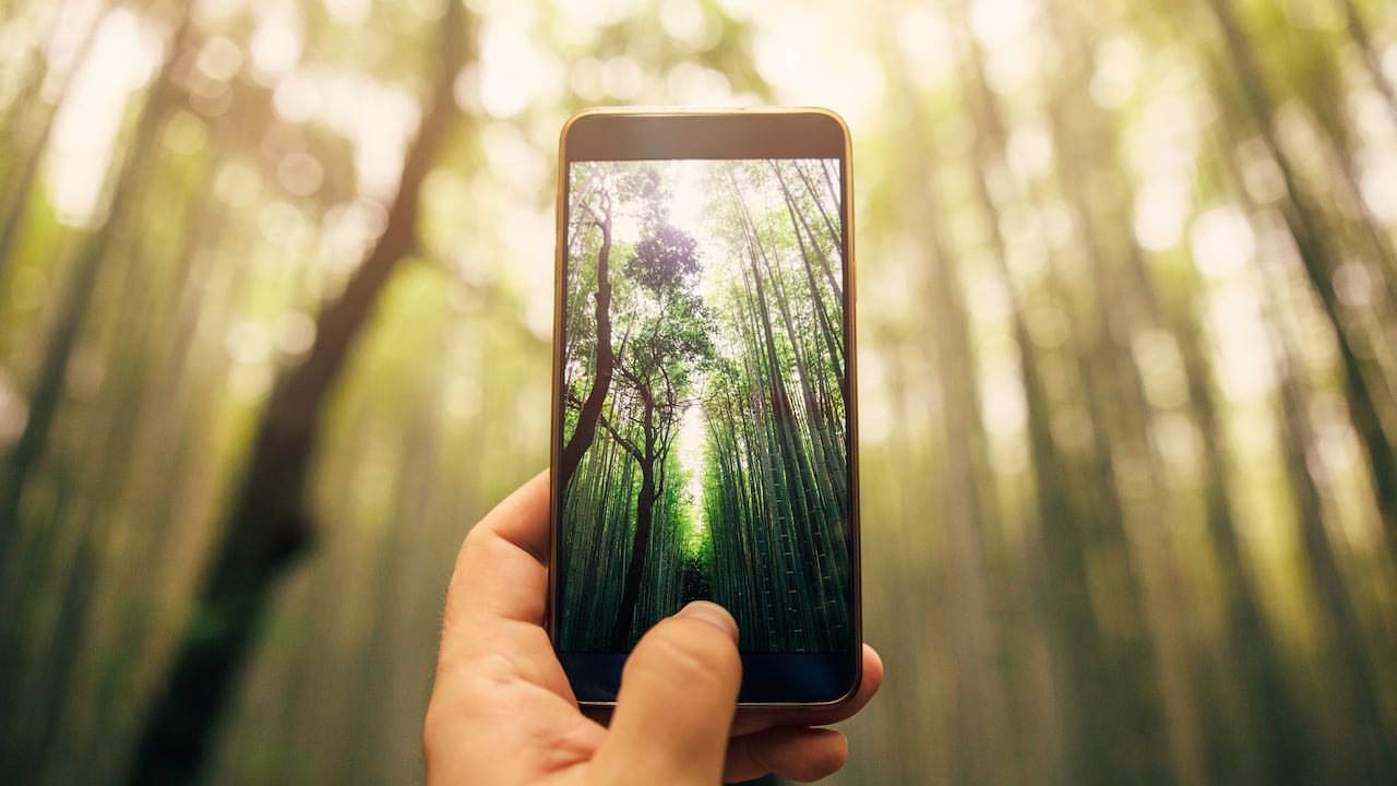 Fotografía celular.