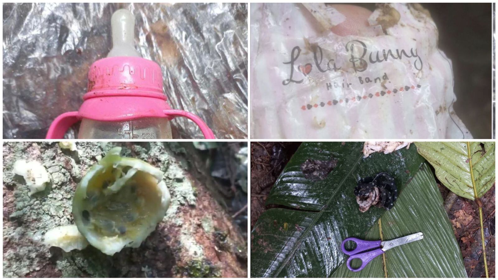 Estas fueron las principales pistas de supervivencia