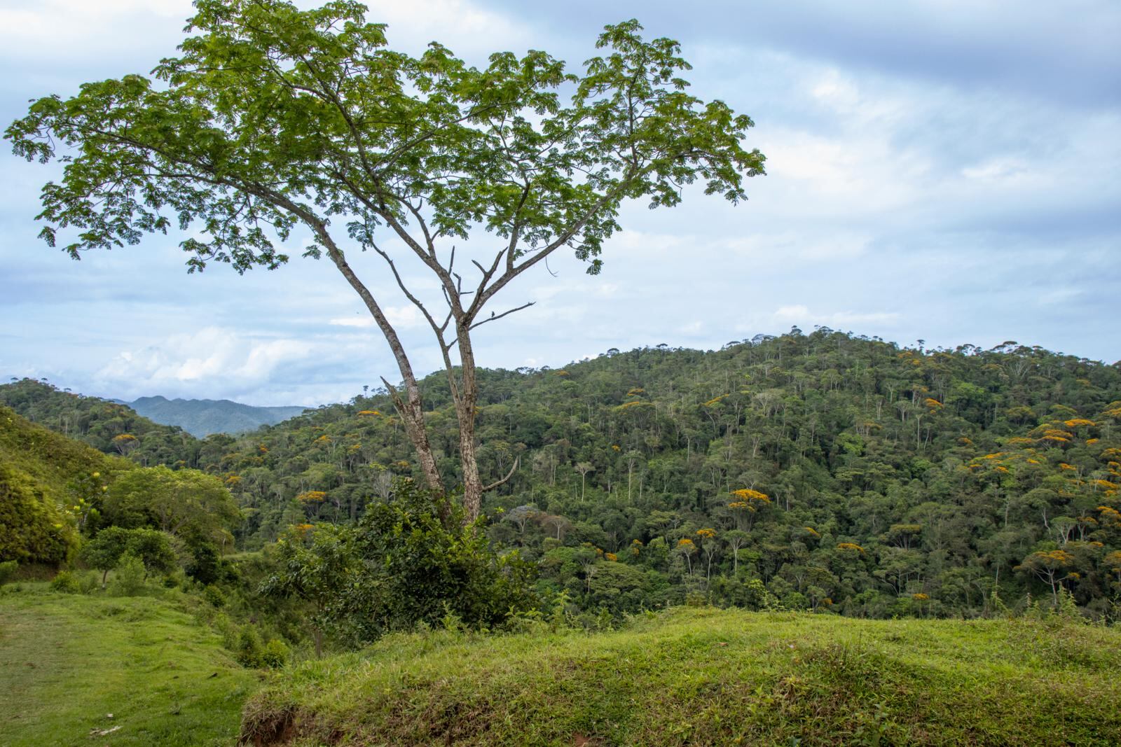 Algunos de los proyectos beneficiados están ubicados en zonas rurales y generan impacto en comunidades vulnerables.