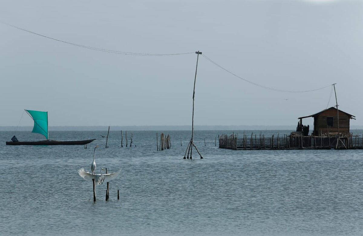La pesca era la actividad económica por excelencia de Tasajera y durante los años 60 y 70 logró ser un pueblo próspero, en el que muchos de sus pescadores incluso exportaban sus productos. Foto: Guillermo Torres/SEMANA