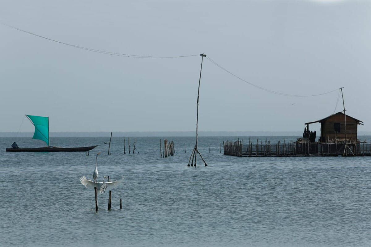 La pesca era la actividad económica por excelencia de Tasajera y durante los años 60 y 70 logró ser un pueblo próspero, en el que muchos de sus pescadores incluso exportaban sus productos. Foto: Guillermo Torres/SEMANA