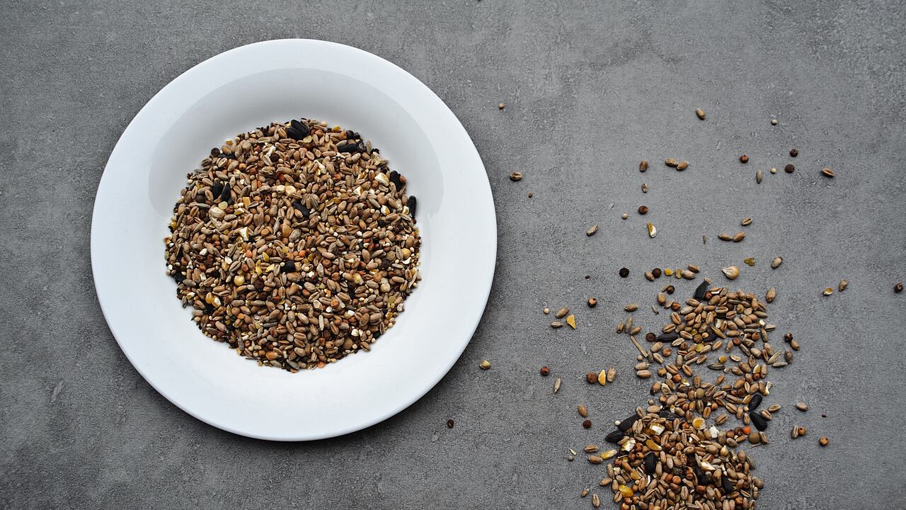 Alpiste para nivelar el azúcar en la sangre.