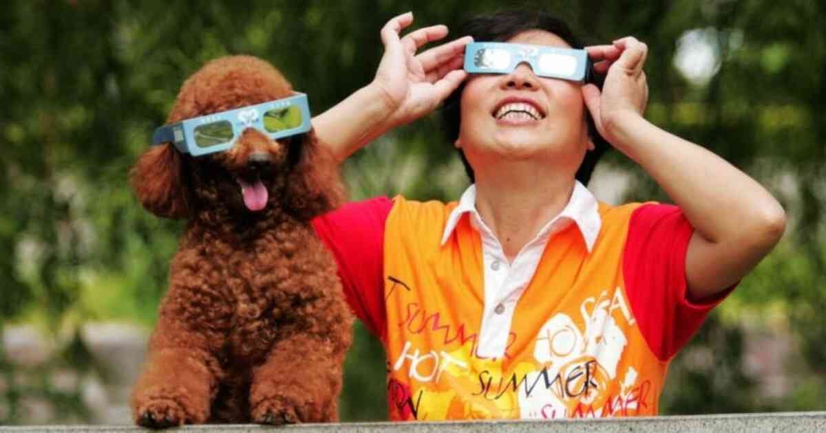 No le ponga a su mascota gafas, binoculares u otros elementos para ver el eclipse. Ellos no deben observarlo. 