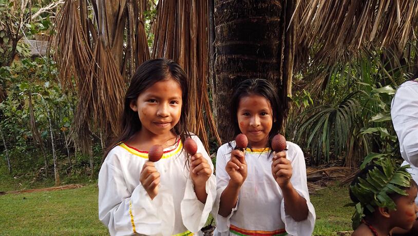 Superfrutos del Amazonas