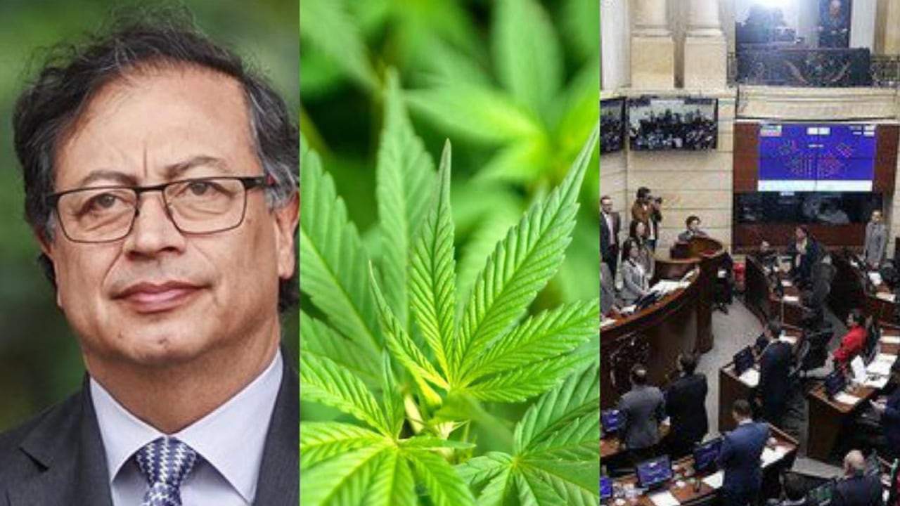 El presidente, Gustavo Petro, arremetió contra los que votaron en contra de aprobar el proyecto en el Senado. Foto: Semana