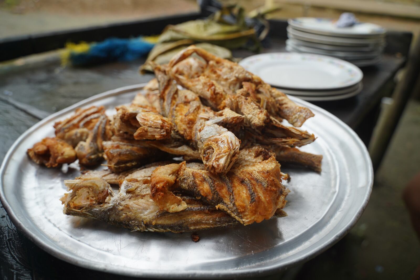 Pescado en Chocó.